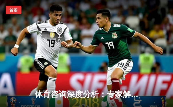 体育咨询深度分析：专家解读