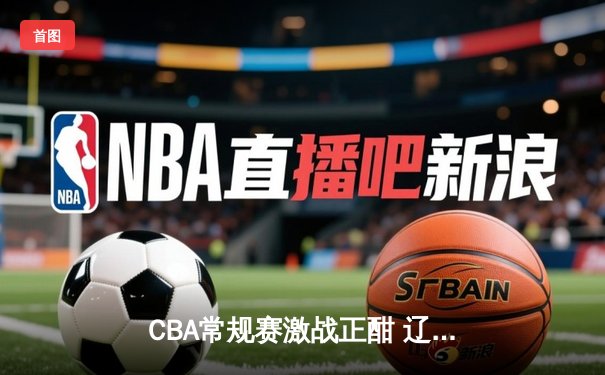 CBA常规赛激战正酣 辽宁本钢加时逆转广东宏远豪取九连胜